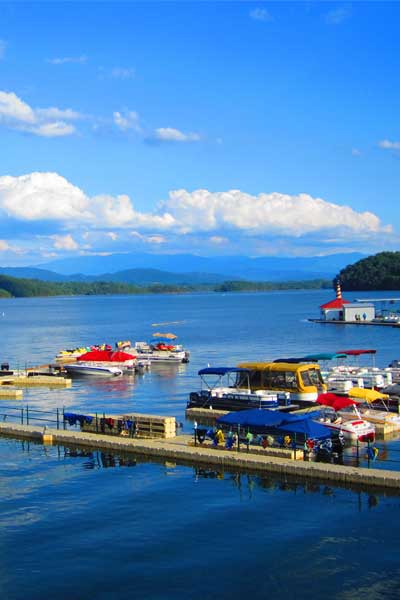 Colorful boats docked at a marina on an East Tennessee lake