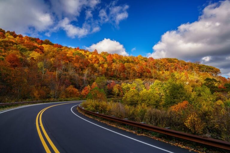 Beautiful fall colors on the Cherohala Skyway
