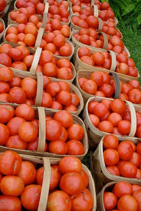 Eating Local to Support Family Farms