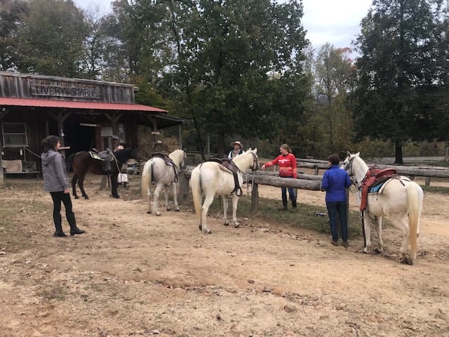 French Broad Dude Ranch