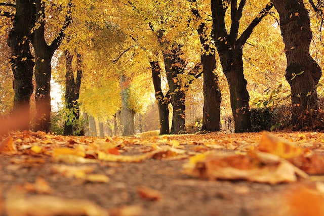 Autumn Fun in the 9 Lakes Region