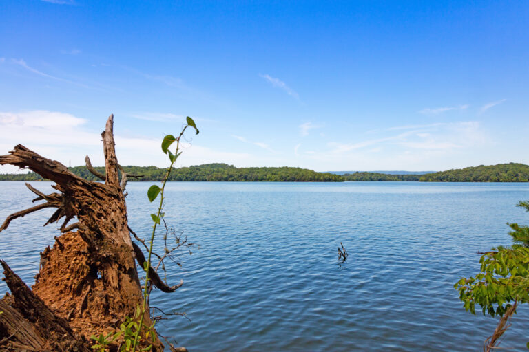Watts Bar Lake