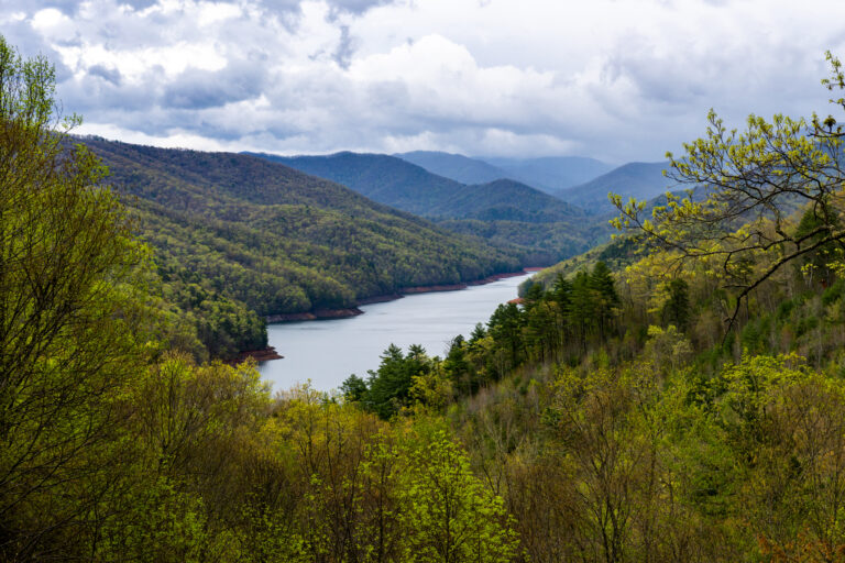 Calderwood & Chilhowee Lake