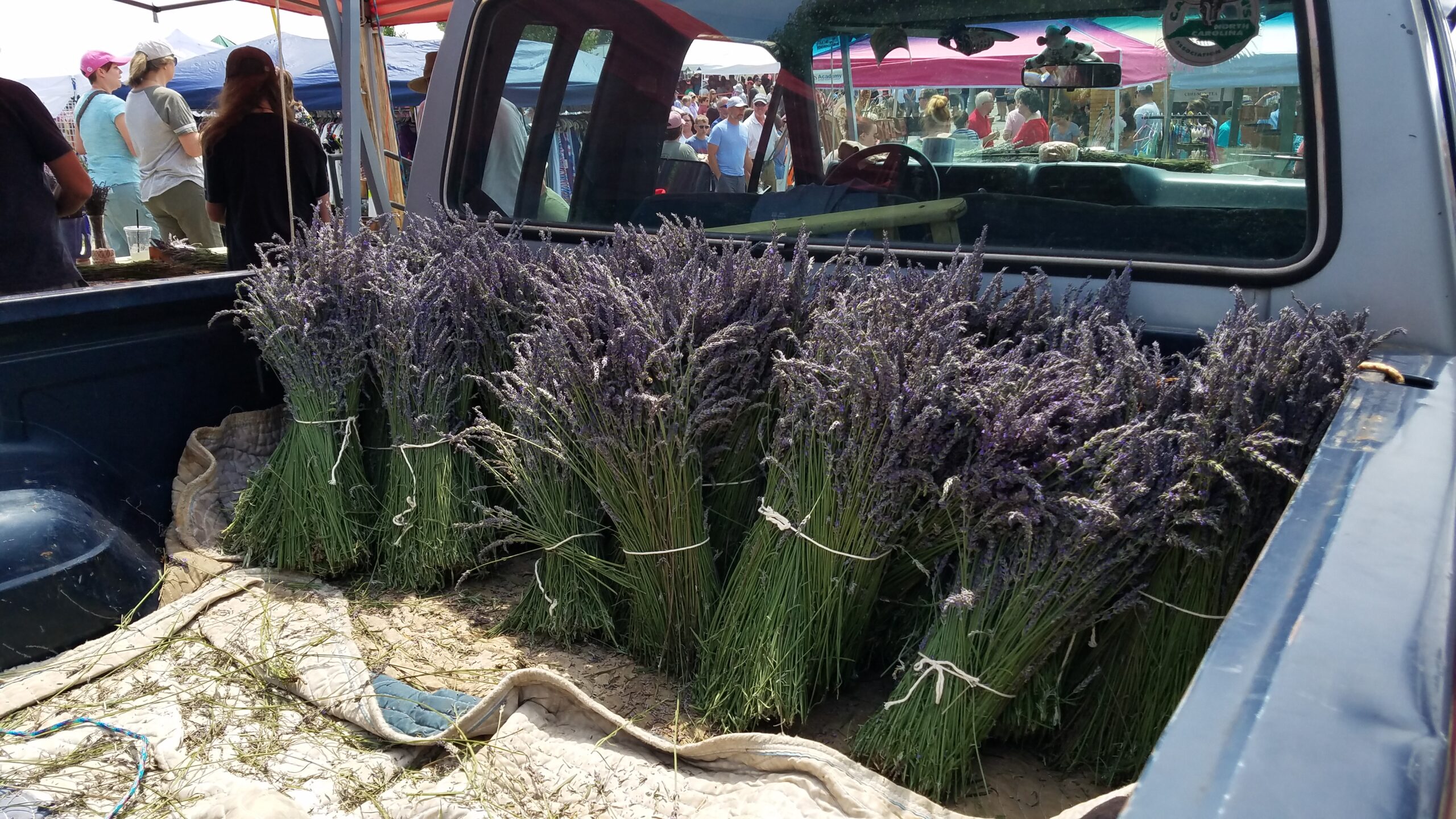 lavender festival in truck