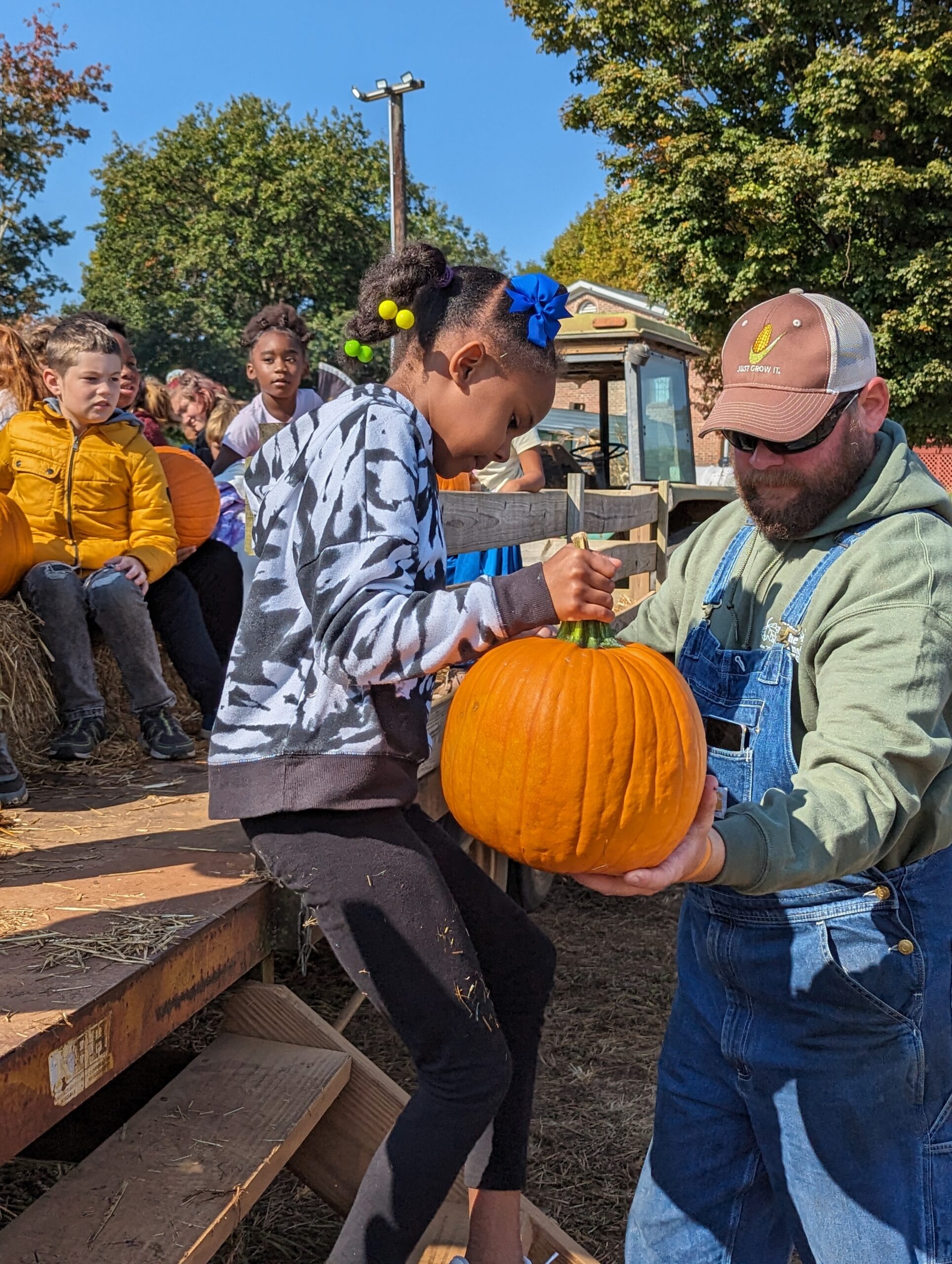 down on Maple Farms corn maze and pumpkin patch