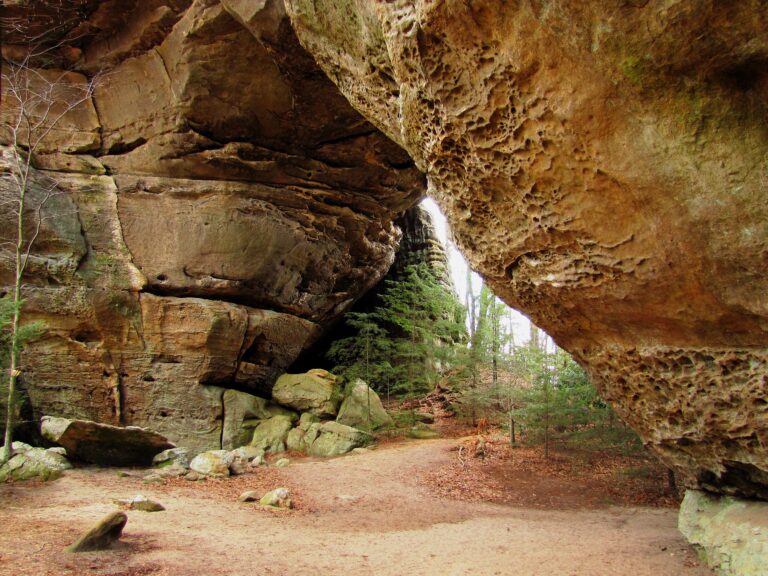 The Tennessee Mountain  Laurel Festival