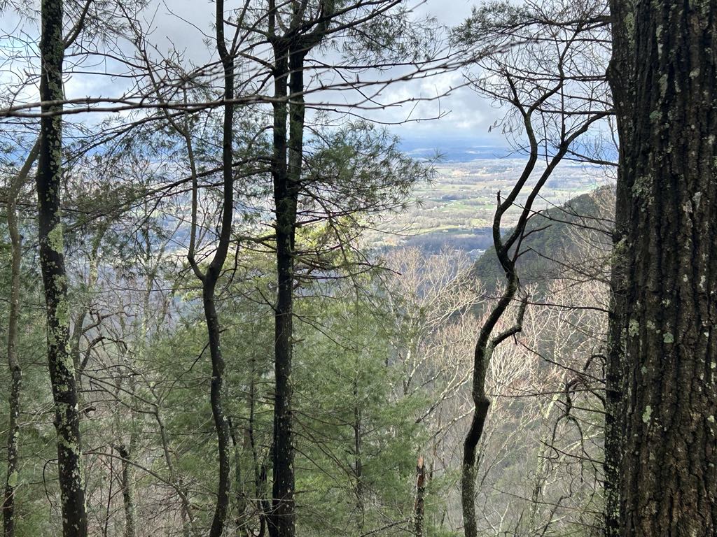 A view from the top