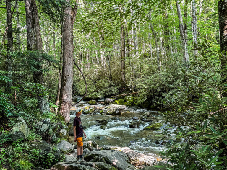 A boy exploring a Smoky Mountains river.