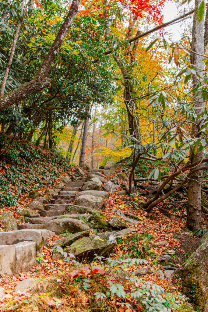 mountain trail - East Tennessee Vacations