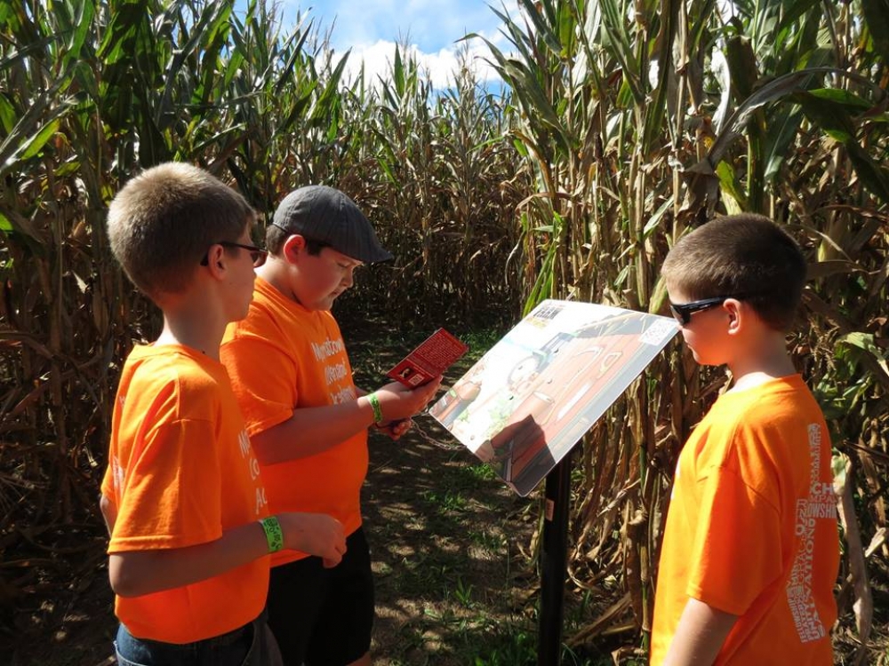 Corn maze entrance