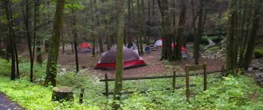 Camping at Frozen Head - Park Service