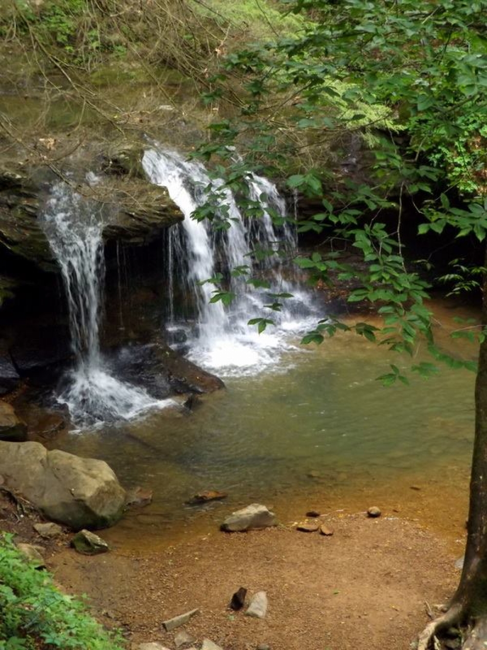 Beautiful falls along the trails - Jennie Chevalier