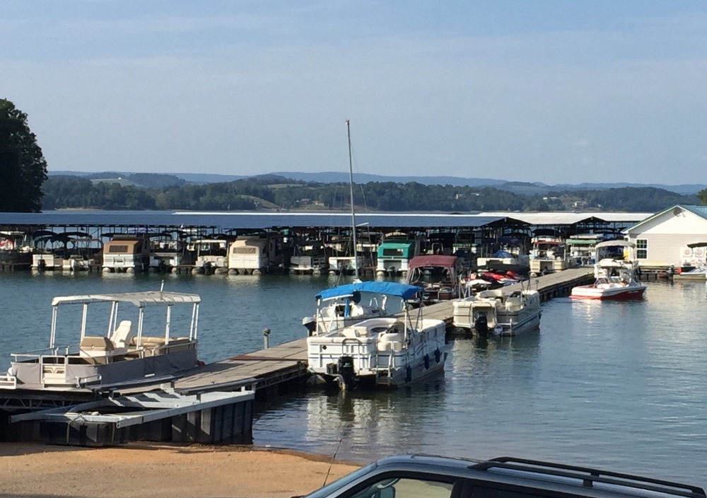 Black Oak Marina on Cherokee Lake