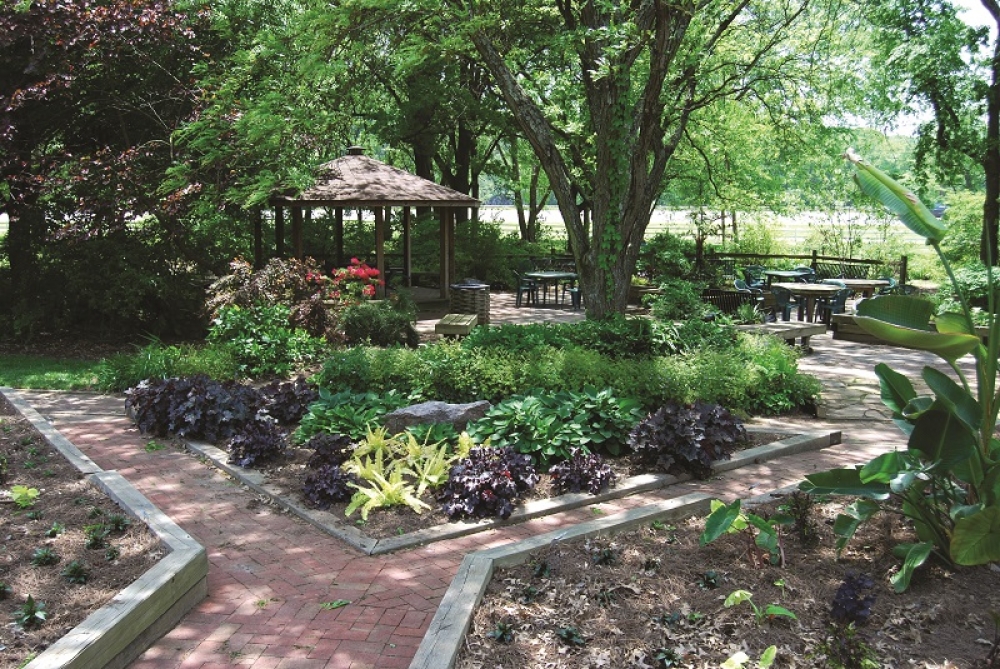 University Of Tennessee Gardens In