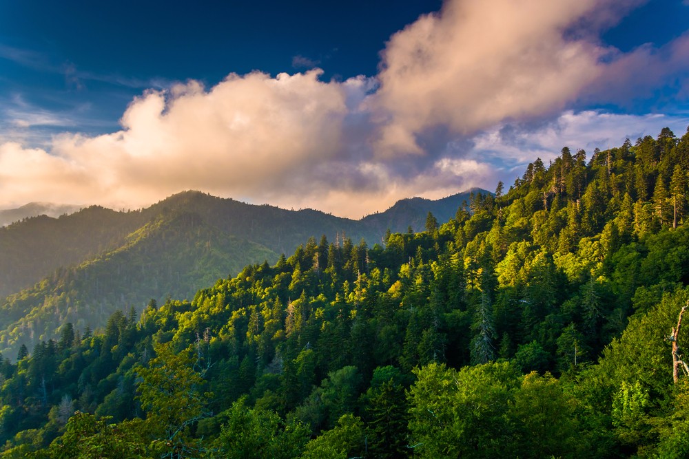 A-beautiful-photo-taken-from-an-overlook-on-Newfound-Gap-Road-in-the-Great-Smoky-Mountains-National-Park.jpg