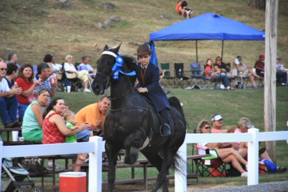 Annual Chestnut Hill Horse Show near Douglas Lake