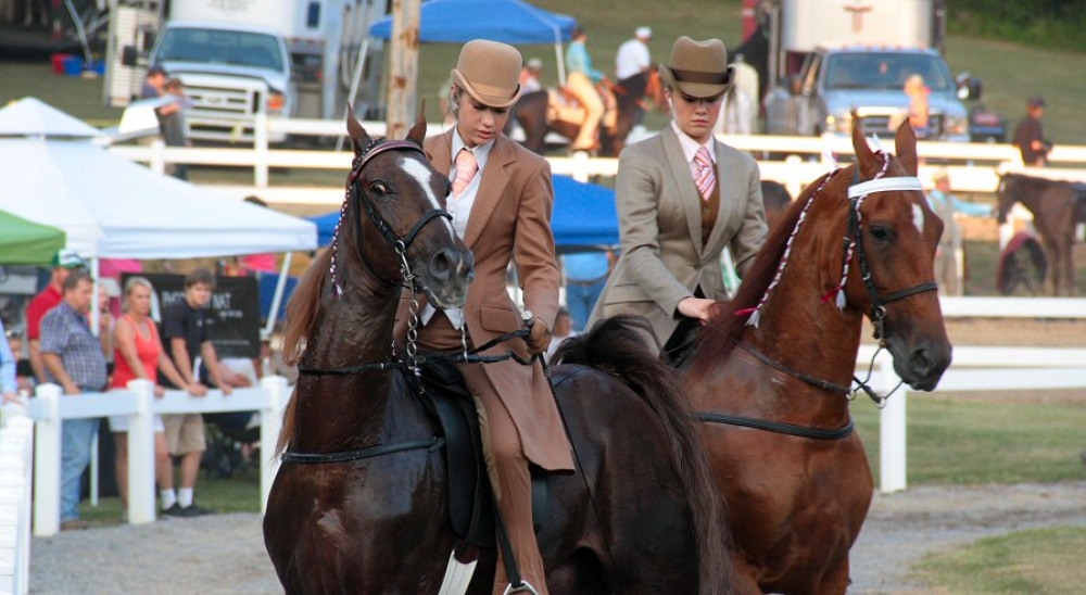 Annual Chestnut Hill Horse Show near Douglas Lake