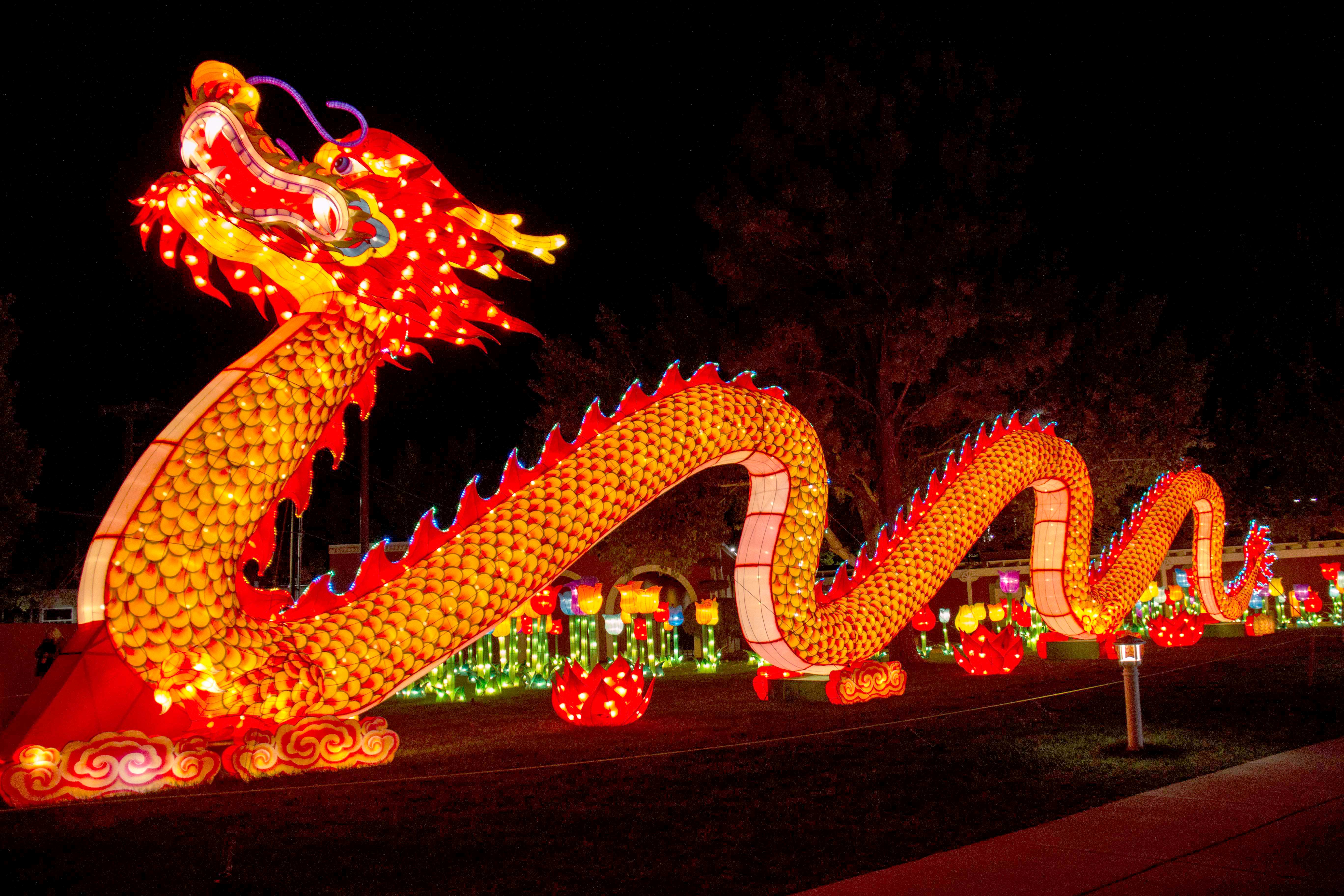 Chinese Lantern Festival