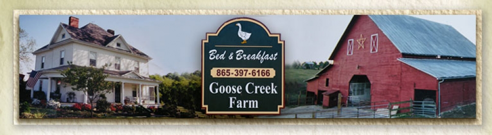 Goose Creek B& B 