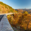 Autumn Leaves in East TN