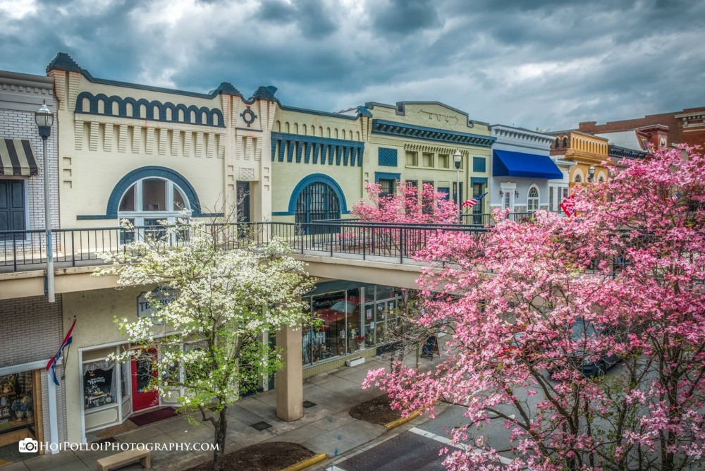 Main Street with blooming redbud trees.