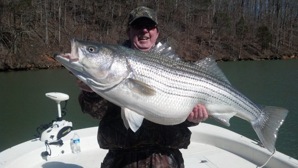 Striper Fishing with Jay