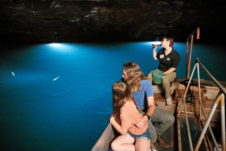 Beat the Heat: Indoor Adventures Around the 9 Lakes of East Tennessee